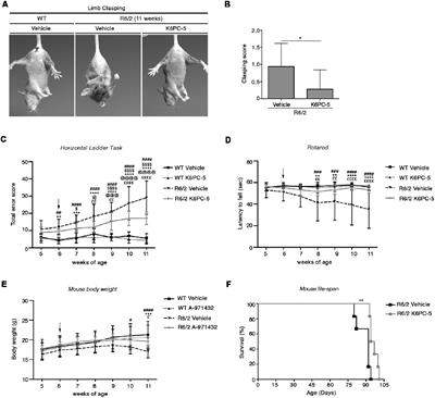 Stimulation of Sphingosine Kinase 1 (SPHK1) Is Beneficial in a Huntington’s Disease Pre-clinical Model